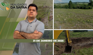 Realidades da Safra - Notícias Agrícolas