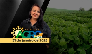Bom Dia Agro - Com Carla Mendes