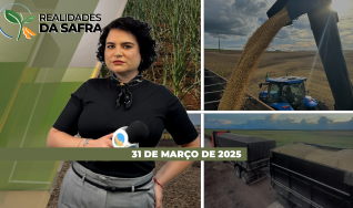 Realidades da Safra - Notícias Agrícolas