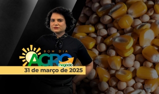 Bom dia Agro - Com Letícia Guimarães