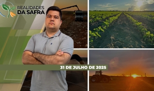 Realidades da Safra - Notícias Agrícolas