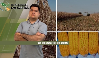 Realidades da Safra - Notícias Agrícolas