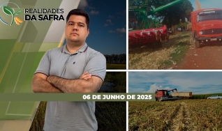 Realidades da Safra - Notícias Agrícolas