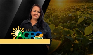 Bom Dia Agro - Com Carla Mendes