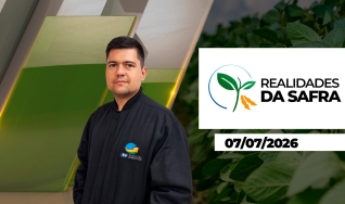 Realidades da Safra - Realidades da Safra