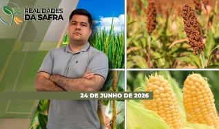 Realidades da Safra - Realidades da Safra