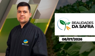 Realidades da Safra - Realidades da Safra