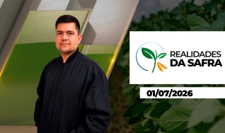 Realidades da Safra - Realidades da Safra