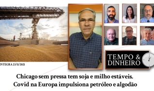 Chicago sem pressa tem soja e milho estáveis. Covid na Europa impulsiona petróleo e algodão