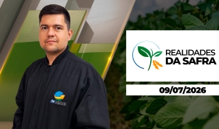 Realidades da Safra - Realidades da Safra