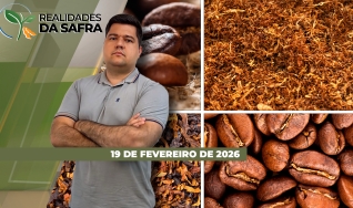 Realidades da Safra - Notícias Agrícolas