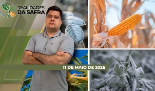 Realidades da Safra - Notícias Agrícolas
