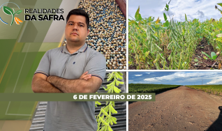 Realidades da Safra - Notícias Agrícolas