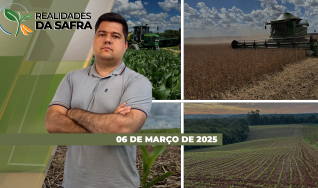 Realidades da Safra - Notícias Agrícolas