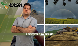 Guilherme Dorigatti