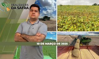 Realidades da Safra - Notícias Agrícolas