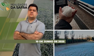Realidades da Safra - Notícias Agrícolas