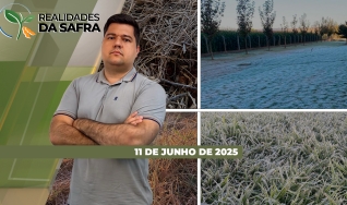 Realidades da Safra - Notícias Agrícolas