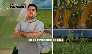Realidades da Safra - Notícias Agrícolas