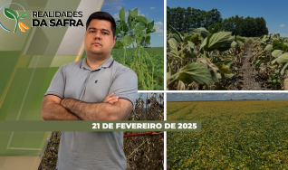 Realidades da Safra - Notícias Agrícolas