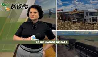 Realidades da Safra - Notícias Agrícolas