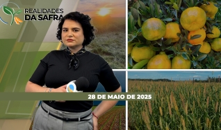 Realidades da Safra - Notícias Agrícolas