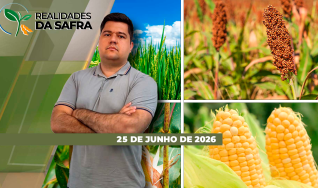 Realidades da Safra - Realidades da Safra