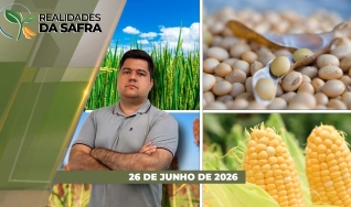 Realidades da Safra - Realidades da Safra