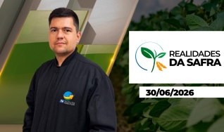 Realidades da Safra - Realidades da Safra