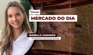 Isabella Camargo - Zootecnista e analista da HN Agro