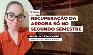 Isabella Cavalcante - Analista de Pecuária da Agrifatto