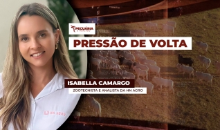Isabella Camargo - Zootecnista e analista da HN Agro