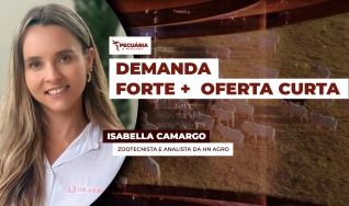 Isabella Camargo - Zootecnista e analista da HN Agro