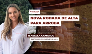 Isabella Camargo - Zootecnista e analista da HN Agro