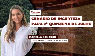 Isabella Camargo - Zootecnista e analista da HN Agro