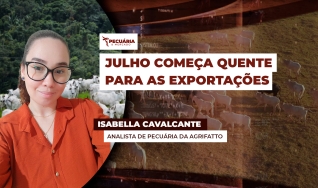 Isabella Cavalcante - Analista de Pecuária da Agrifatto