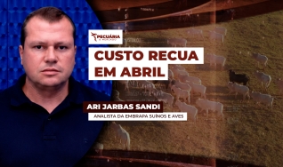 Ari Jarbas Sandi - Analista da Embrapa Suínos e Aves