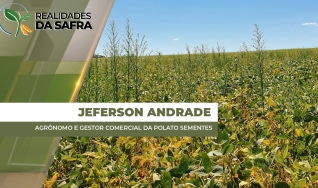 Jeferson Andrade - Agrônomo e Gestor Comercial da Polato Sementes
