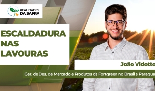 João Vidotto - Ger. de Des. de Mercado e Produtos da Fortgreen no Brasil e Paraguai