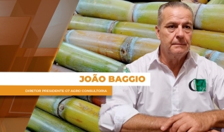 João Baggio - Diretor Presidente  G7 Agro Consultoria
