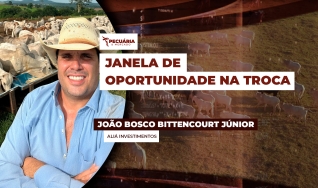 João Bosco Bittencourt Júnior - Aliá Investimentos