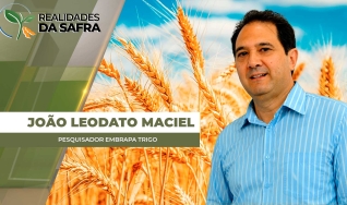 João Leodato Maciel - Pesquisador Embrapa Trigo
