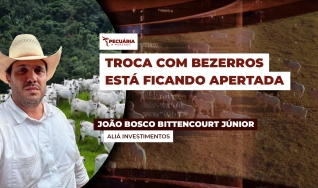 João Bosco Bittencourt Júnior - Aliá Investimentos