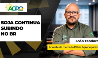 João Teodoro