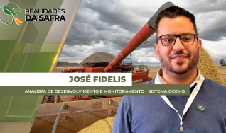 José Fidelis - Analista de Desenvolvimento e Monitoramento - Sistema Ocemg