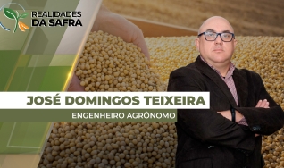 José Domingos Teixeira - Engenheiro agrônomo - Gerente Unidade Agrícola, Barra do Garças/MT
