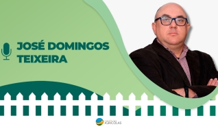 Conversa de Cerca - Com Carla Mendes