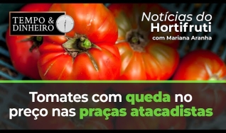 Tempo e dinheiro