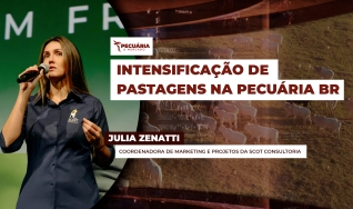 Julia Zenatti - Coordenadora de marketing e projetos da Scot Consultoria