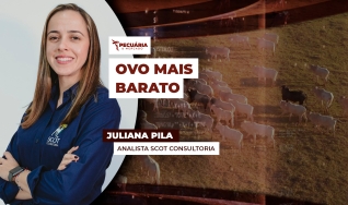 Juliana Pila - Analista Scot Consultoria